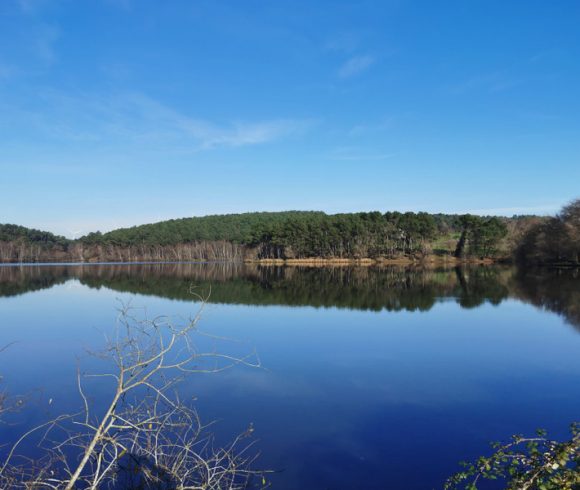 Leisure Park with 29.6-Acre Private Fishing Lake, Chalets, House & Facilities Image