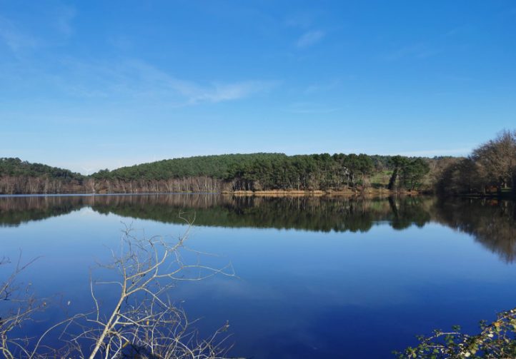 Leisure Park with 29.6-Acre Private Fishing Lake, Chalets, House & Facilities Image