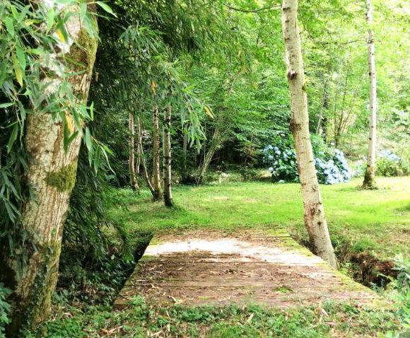 2.5 Acre Lake with Accommodation in Limousin Region Image