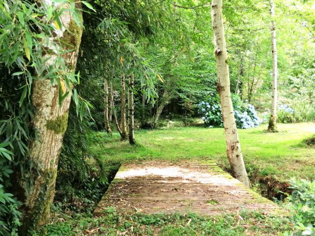 2.5 Acre Lake with Accommodation in Limousin Region Image