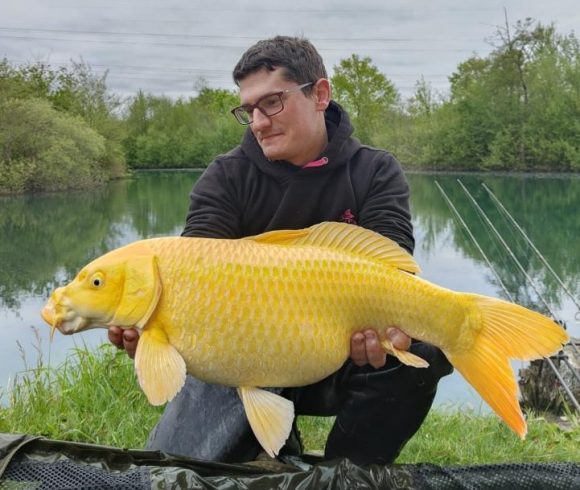 Étang de la Clarte Image