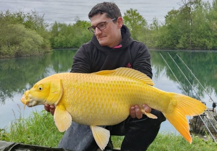 Étang de la Clarte Image