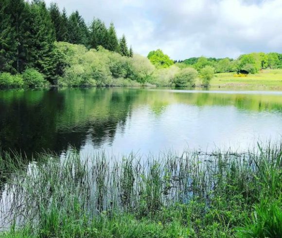 5 Bed Barn Conversion + 2 Gites a Pool and Lake Image