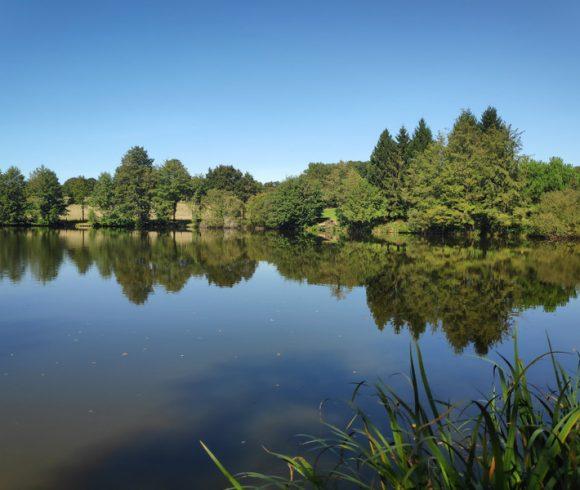 Carp Fishing Business – Haute-Vienne, Limousin Image
