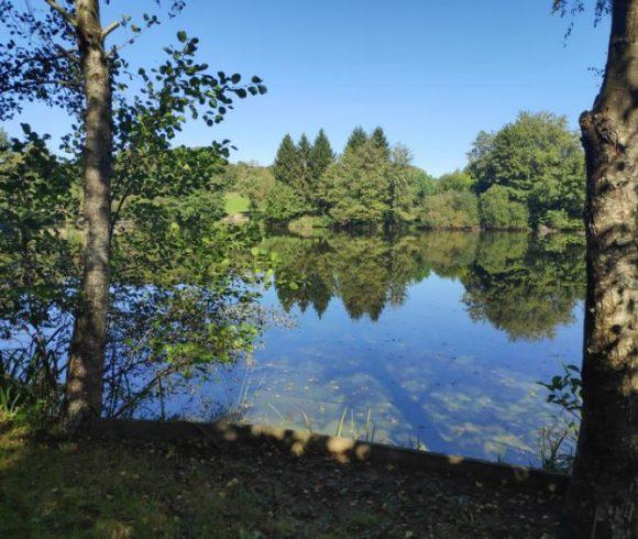 Carp Fishing Business – Haute-Vienne, Limousin Image