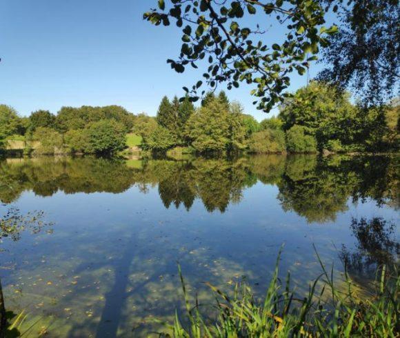 Carp Fishing Business – Haute-Vienne, Limousin Image