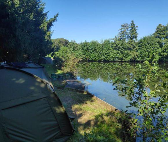 Carp Fishing Business – Haute-Vienne, Limousin Image