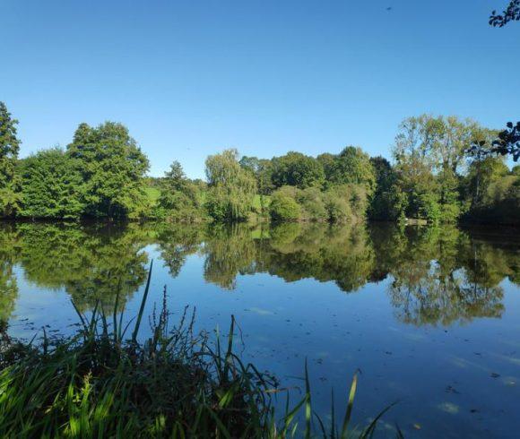 Carp Fishing Business – Haute-Vienne, Limousin Image