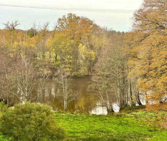 House for Full Renovation with 4 Acre Lake – Creuse, Limousin Image