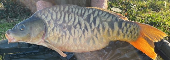 Lac Bundy – 16 January, 2026