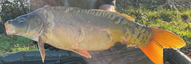 Lac Bundy – 16 January, 2026