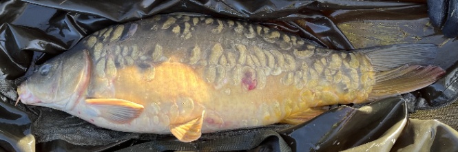 Lac Bundy – 16 January, 2026