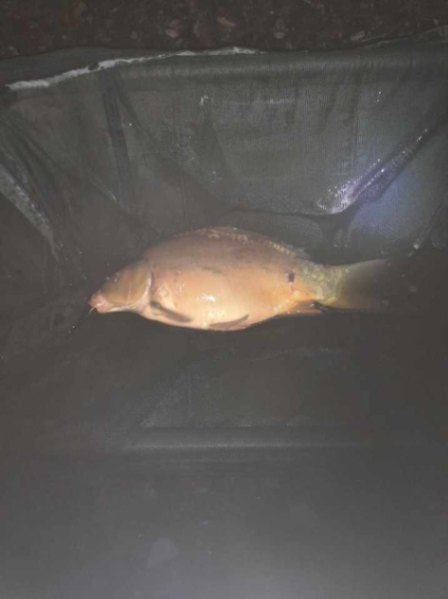 Etang de la Basse Roussiere – 30 January, 2026