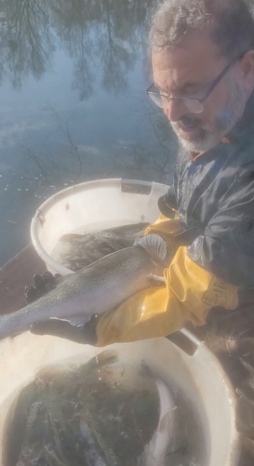 Lac du Blaireau (Badger Lake) – 17 January, 2026