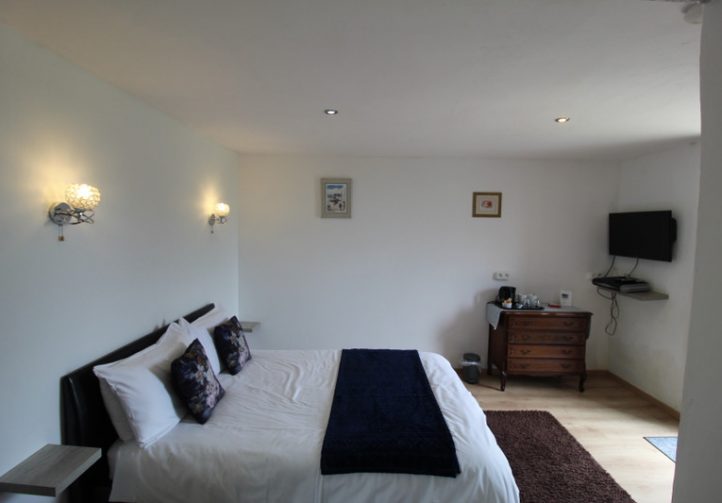 Farmhouse with 12 Lake, Gîtes & Outbuildings – Poitiers Image