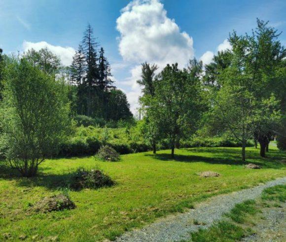 Gîte Complex with Lake and Development Potential – Loire Valley Image