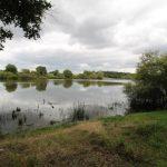 Farmhouse with 12 Lake, Gîtes & Outbuildings – Poitiers Image