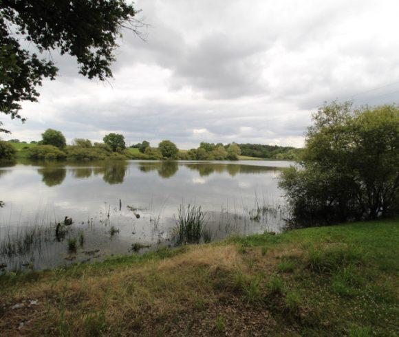 Farmhouse with 12 Lake, Gîtes & Outbuildings – Poitiers Image