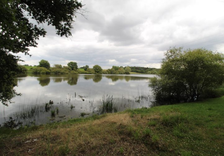 Farmhouse with 12 Lake, Gîtes & Outbuildings – Poitiers Image
