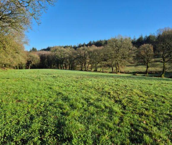 Equestrian Estate with Breton Longère, Lake and Outbuildings Image