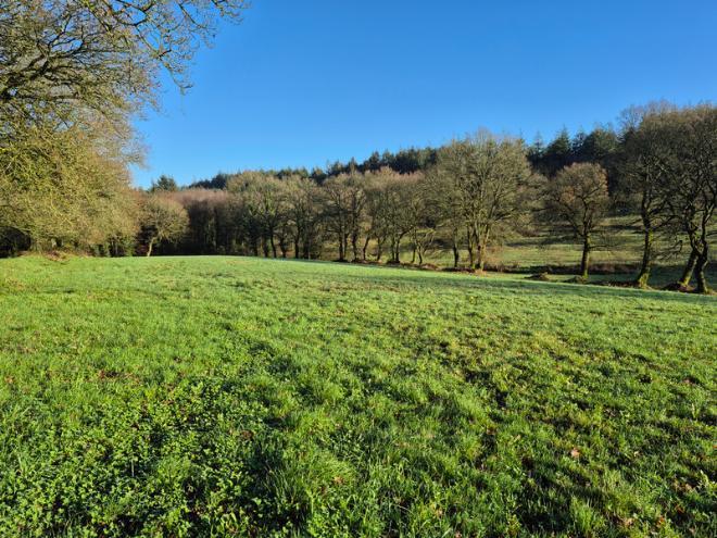 Equestrian Estate with Breton Longère, Lake and Outbuildings Image