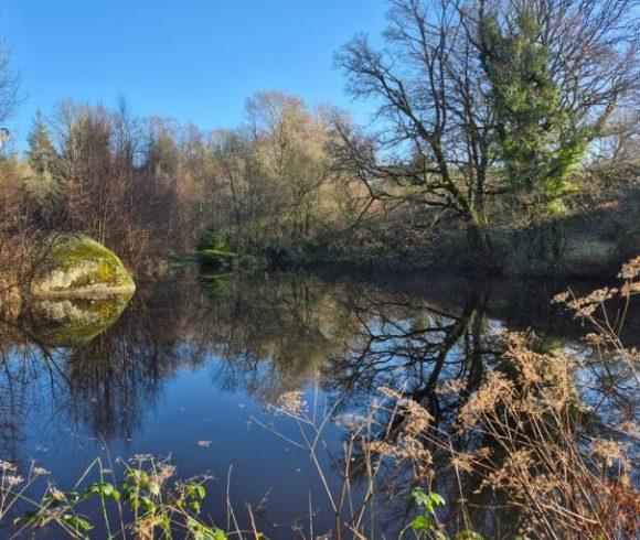 Equestrian Estate with Breton Longère, Lake and Outbuildings Image