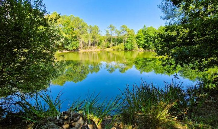 Charming Property with Barn and Lake – Dordogne Image
