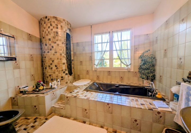 Large House with Private Parkland and Lakes – Limousin Natural Park Image