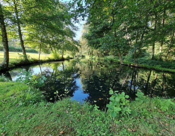 6-Bed House + 2 Gîtes, Lakes & River Frontage -Charente-Maritime Image