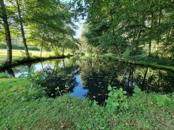 6-Bed House + 2 Gîtes, Lakes & River Frontage -Charente-Maritime Image