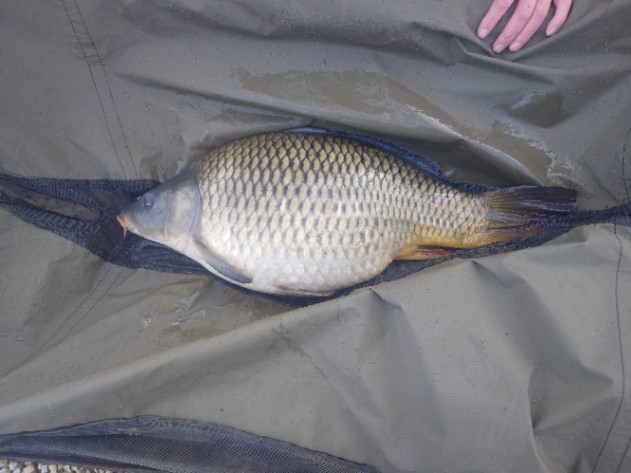 Chef de Ville: 14-03-2026 to 21-03-2026