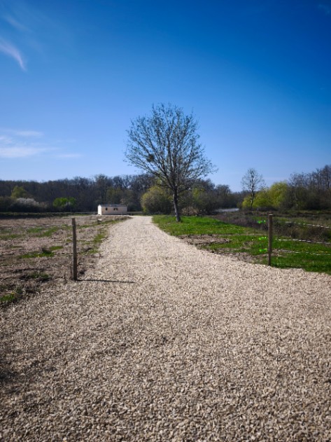 Camalo Lake – 20 March, 2026