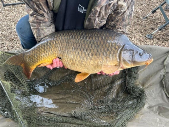 Oak Tree Lakes – 12 April, 2026