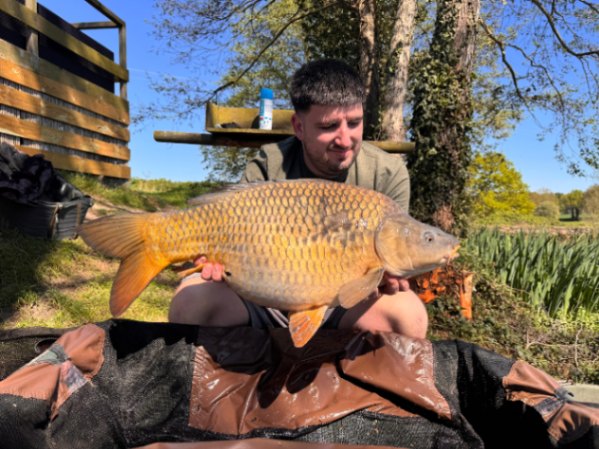 Willow Lake – 04 April, 2026