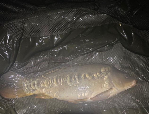 Etang Rouge – 25 April, 2026