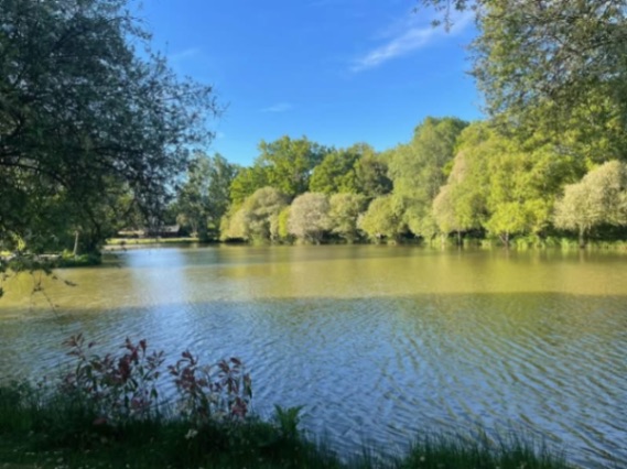 Oak View Lake – 27 April, 2026