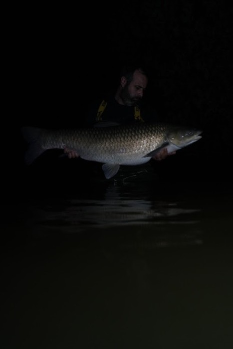 Domaine de Puyregonde South Lake – 11 April, 2026