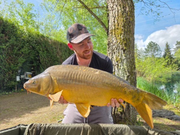 Misty Waters Lake: 11-04-2026 to 18-04-2026