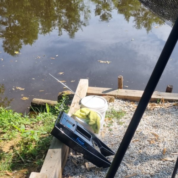 Kingfisher Lake – Carp France – 30 May, 2026