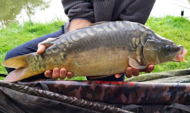 Lac Lucie – Carp France Fisheries – 09 May, 2026