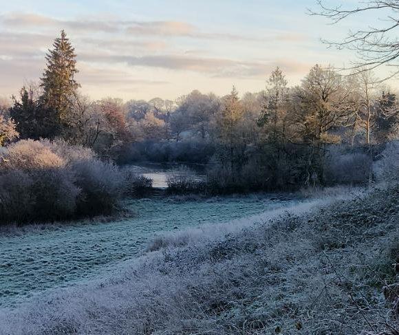 Oak Tree Lakes Image
