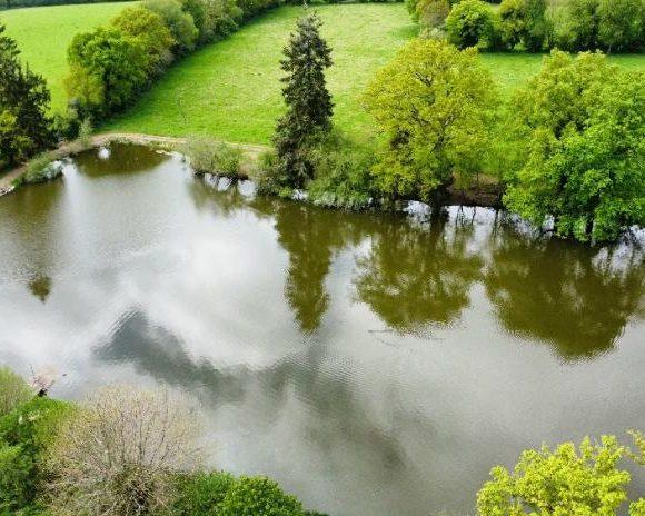 Oak Tree Lakes Image
