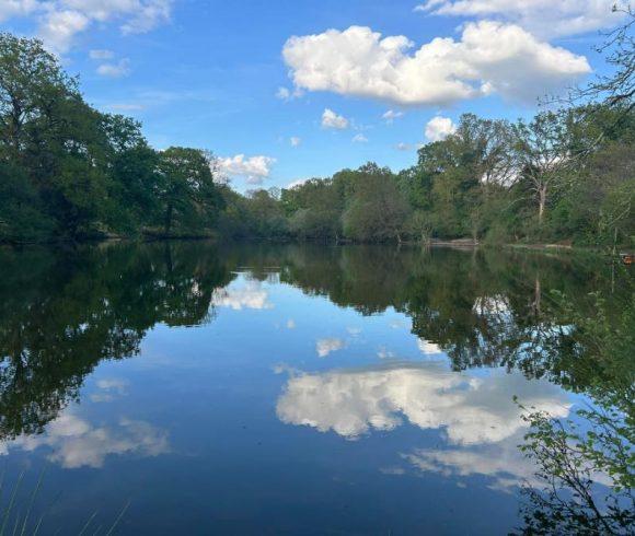Oak Tree Lakes Image