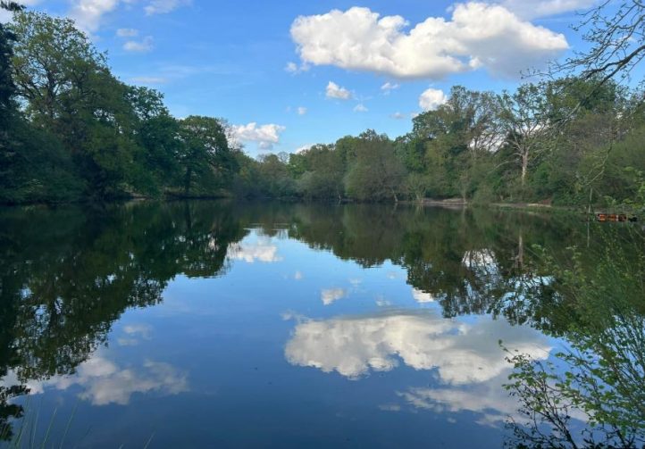 Oak Tree Lakes Image
