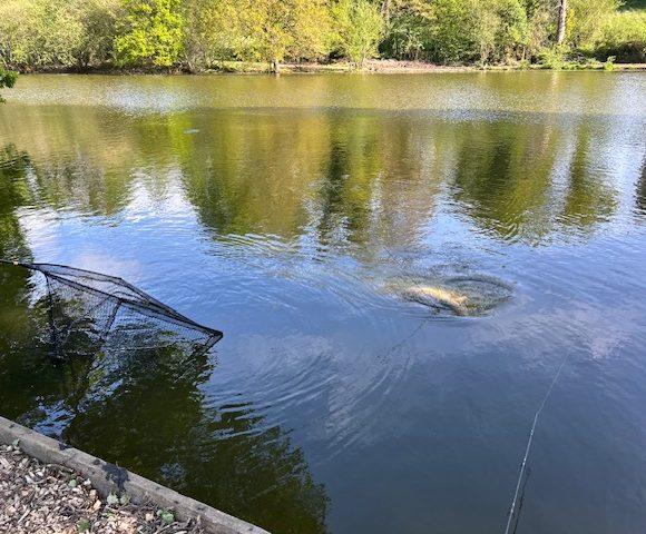 Oak Tree Lakes Image