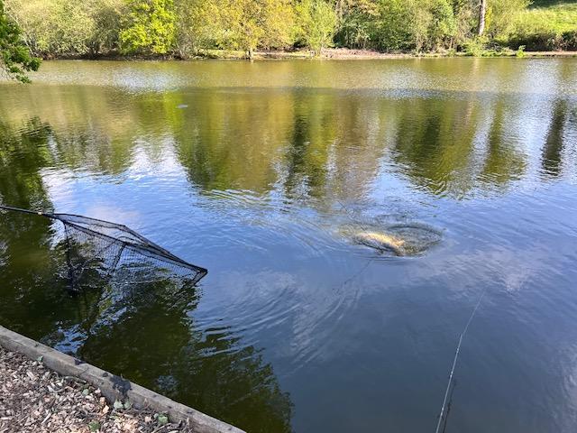 Oak Tree Lakes Image