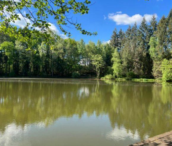 3 Spring-Fed Fishing Lakes & Cabin in the Dordogne Forest Image