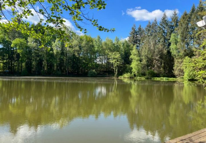 3 Spring-Fed Fishing Lakes & Cabin in the Dordogne Forest Image
