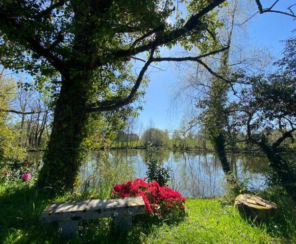 4-Bed House with Fishing Lake in Troche, Corrèze Image