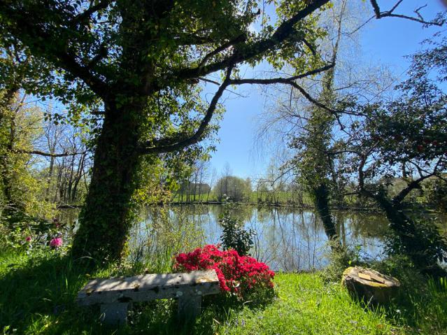 4-Bed House with Fishing Lake in Troche, Corrèze Image
